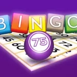 Bingo 75