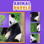 Animal Puzzle