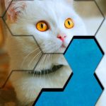 Blocks Hexa Jigsaw Puzzle™