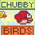 Chubby Birds