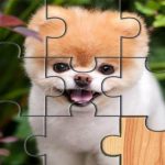 Cute Dogs Jigsaw Puzlle