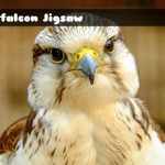 Gyrfalcon Jigsaw