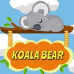 Koala Bear