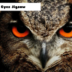 Owl Eyes Jigsaw