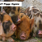 Piglet Piggy Jigsaw