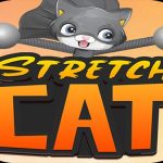 STRETCH CAT 3D