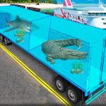 Transport Sea Animal