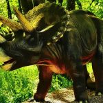 Triceratops Dinosaur Puzzle